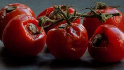 Ne jetez pas les tomates pourries à la poubelle! Ça marche si bien