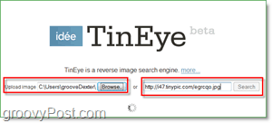 Capture d'écran TinEye - recherche votre image pour les doublons et les versions plus grandes