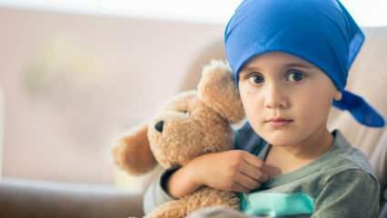 Qu'est-ce que le cancer du sang (leucémie)? Symptômes et traitement de la leucémie chez les enfants