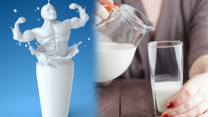 Boire du lait avant de s'endormir s'affaiblit-il? Régime de lait amincissant permanent et sain