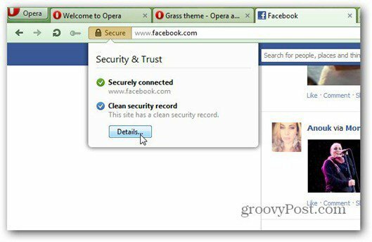 opera 12 security