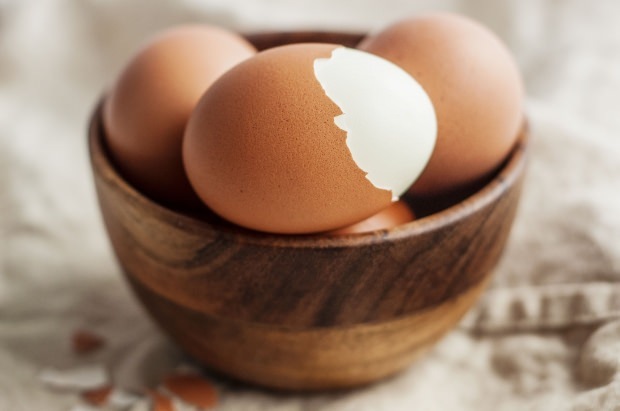 Analyse des œufs biologiques