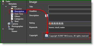 Photographe de Microsoft Pro Photo Tools MetaData Auto Copyright:: groovyPost.com