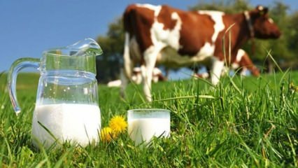 Qu'est-ce que l'allergie au lait? Quand l'allergie au lait passe-t-elle chez les nourrissons? Allergie au lait de vache ...