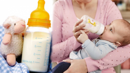 Comment préparer des aliments pour bébés pour les bébés à la maison? Recettes nutritives pour bébés