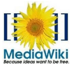 Plugin MediaWiki pour Microsoft Word 2010 et 2007