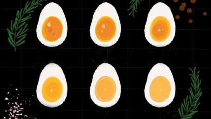 Comment l'œuf est-il bouilli? Temps d'ébullition des œufs! Combien de minutes un œuf bouilli fait-il bouillir?
