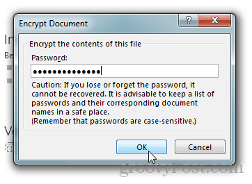 Protection par mot de passe et chiffrement des documents Office 2013: saisissez un mot de passe