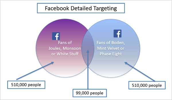 Graphique de l'exemple de ciblage détaillé de Facebook