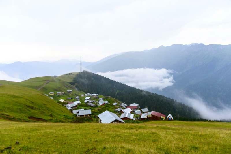 Plateau des cerises