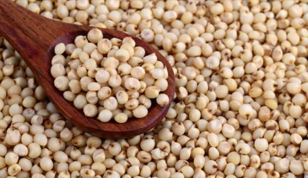 Quels sont les bienfaits du couscous? Nourriture miracle pour prévenir la perte osseuse