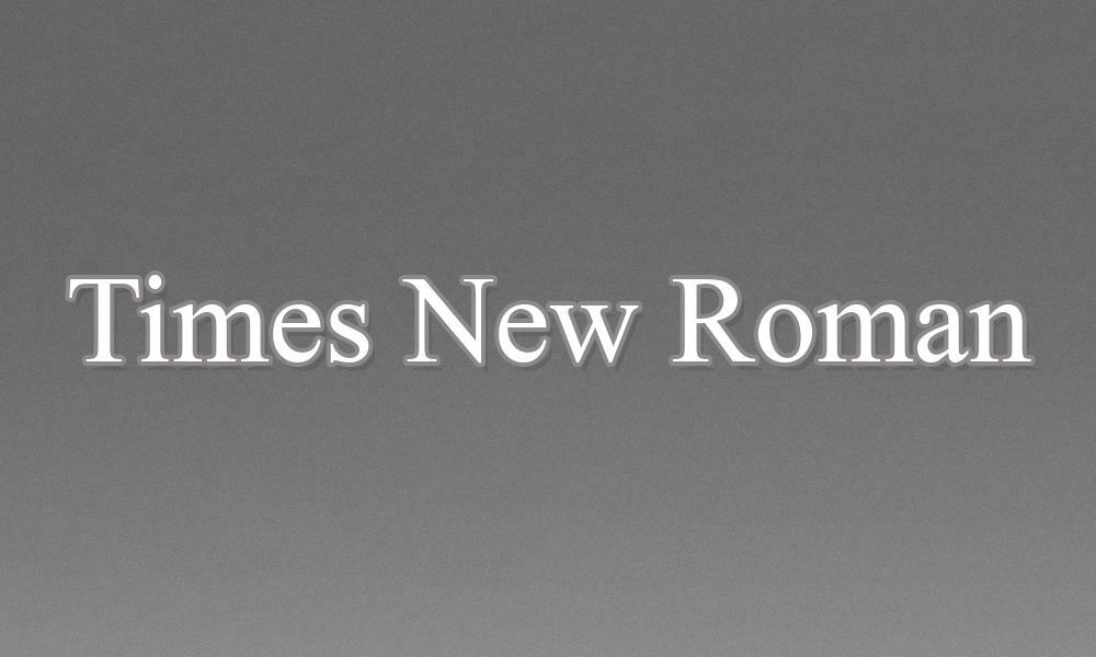 2 - Times New Roman