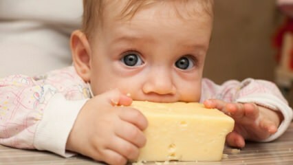 Sélection de fromages pour bébés