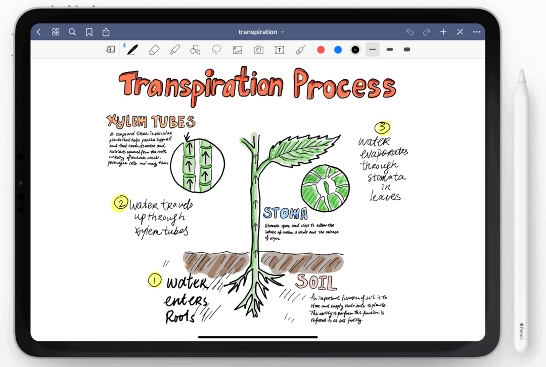 Goodnotes pour iPad