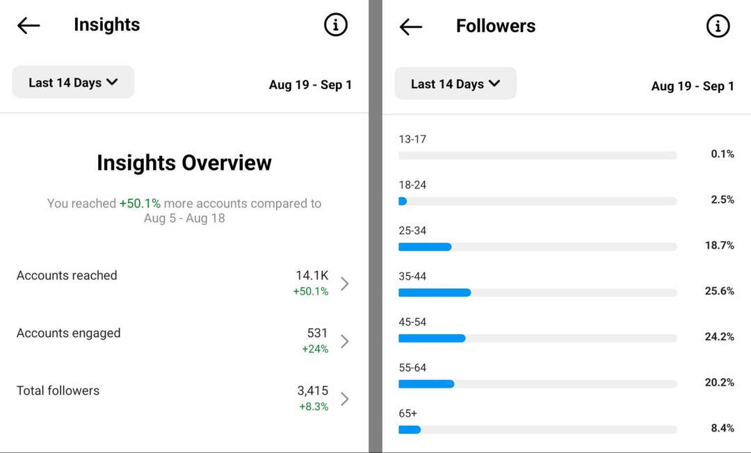 comment-vérifier-l'audience-insights-sur-instagram-app-overview-followers-example-3