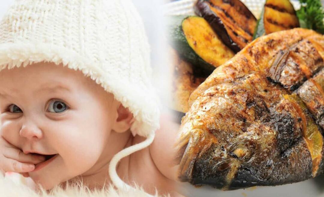 Quand donner du poisson aux bébés? Comment donner du poisson aux bébés et comment le cuisiner ?