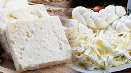 Comment comprendre le bon fromage? Conseils pour choisir le fromage