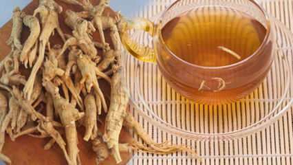 Quels sont les bienfaits du ginseng? Comment le ginseng est-il consommé? À quoi sert le thé au ginseng?