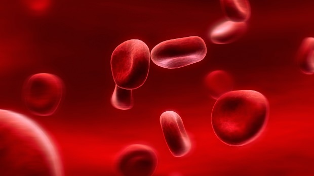 Qu'est-ce qu'un régime de groupe sanguin? Comment ça se passe?