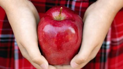 Comment les pommes pourries sont-elles évaluées? 