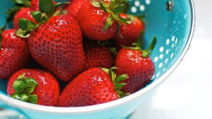 Comment nettoyer les fraises? Comment désinfecter la fraise en 4 étapes