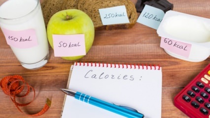 Comment est calculé l'apport calorique quotidien?