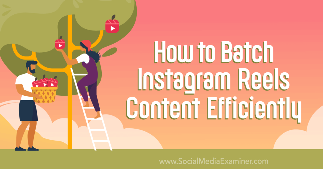 Comment regrouper efficacement le contenu des bobines Instagram par l'examinateur des médias sociaux