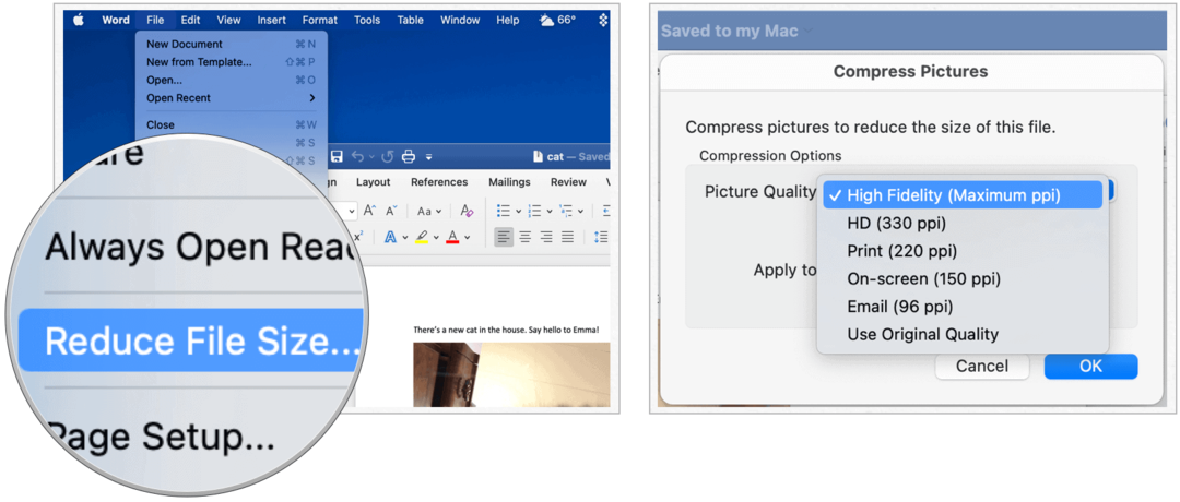 Microsoft Word sur Mac réduit la taille du fichier