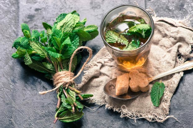 Quels sont les bienfaits de la menthe? À quoi sert le thé à la menthe et au citron? Si vous buvez de l'eau à la menthe ...