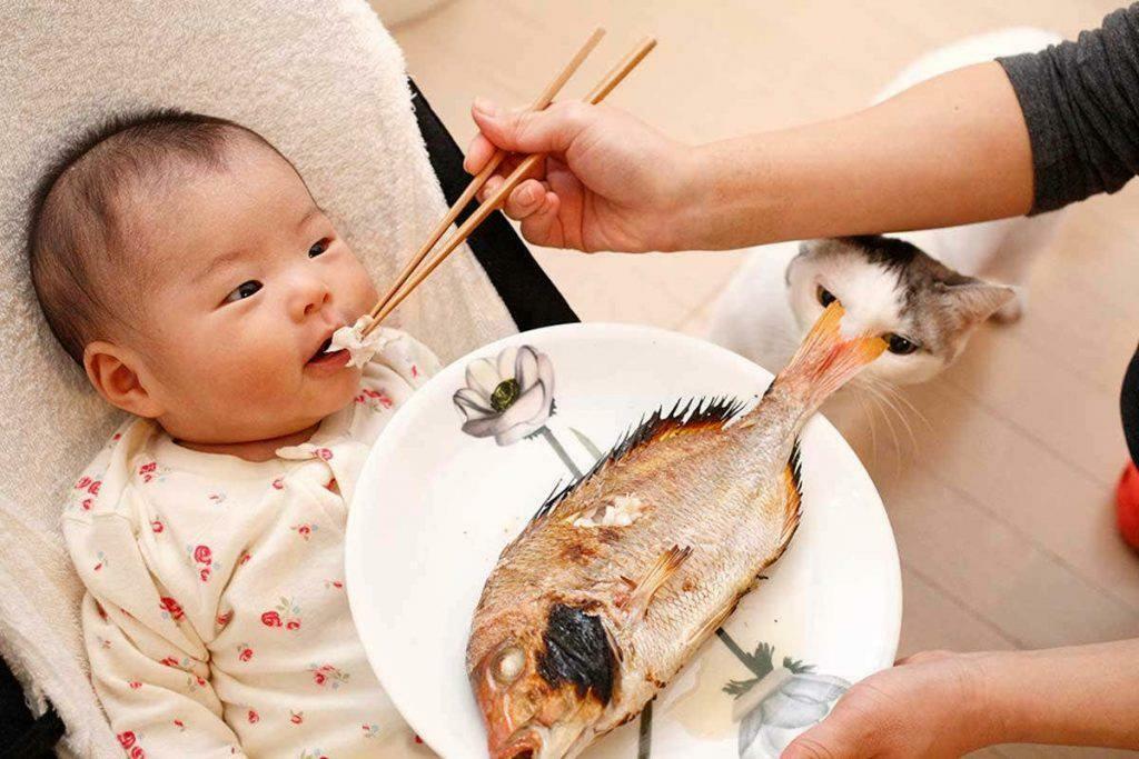 donner du poisson à bébé