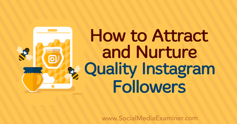 Comment attirer et entretenir des abonnés Instagram de qualité: examinateur des médias sociaux