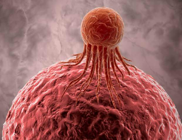 les cellules cancéreuses affectent négativement d'autres cellules saines