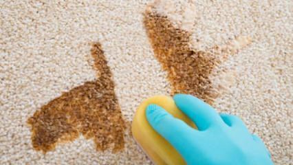 Comment faire un spray nettoyant pour tapis à la maison?