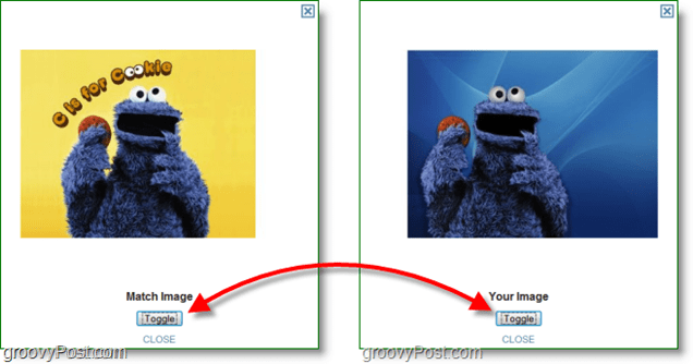 Capture d'écran TinEye - comparaison de l'image originale et de l'image correspondante