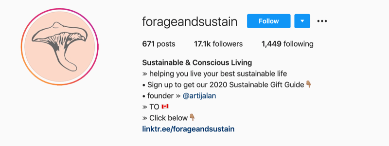 Exemple de profil instagram de @forageandsustain avec une note dans leurs informations de profil pour cliquer sur le lien bio pour plus
