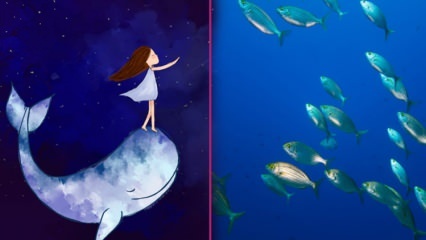 Que signifie voir du poisson dans un rêve? Selon Diyanet, le sens de la pêche dans un rêve ...