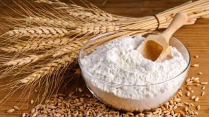 La farine se gâte-t-elle? Façons de savoir si la farine est mauvaise ou périmée