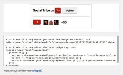 exemple de code de badge google +