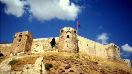 Des tunnels et une zone aquatique ont été découverts dans le château historique de Gaziantep!