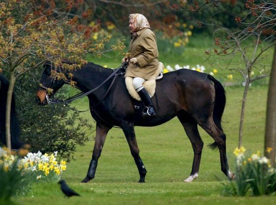 Reine Elizabeth à cheval 