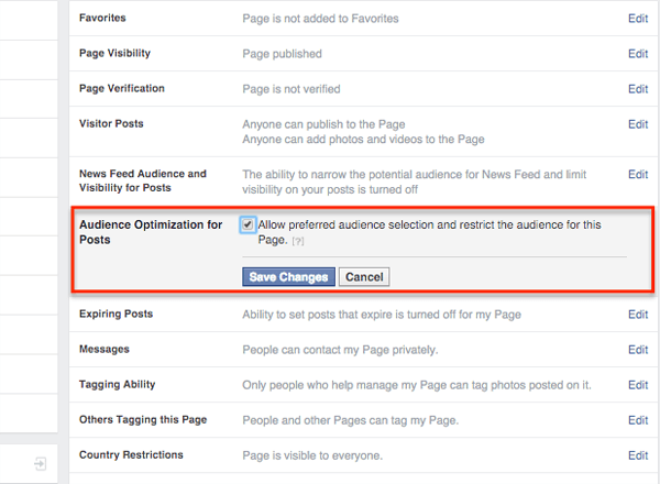optimisation de l'audience facebook pour les paramètres de publication sur