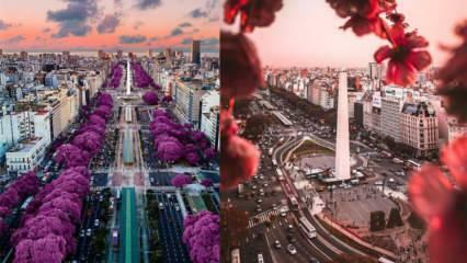 La ville du beau temps: les endroits à visiter à Buenos Aires !