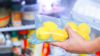 Comment conserver les citrons au réfrigérateur? Suggestions pour que le citron ne moisisse pas