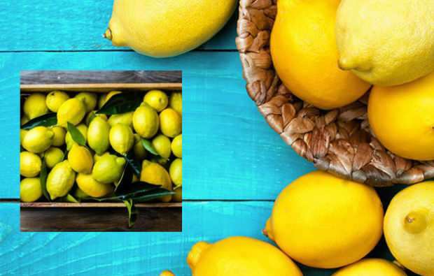 minceur avec un régime au citron