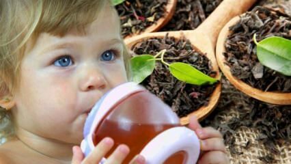 Les bébés peuvent-ils boire du thé?
