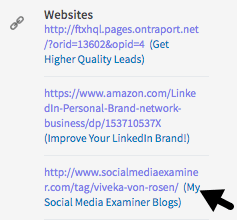 Bien que vous ne puissiez plus personnaliser les liens de votre profil LinkedIn, vous pouvez inclure des descriptions à côté d'eux.