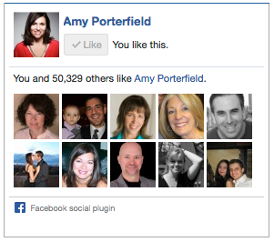 amy porterfield facebook comme box
