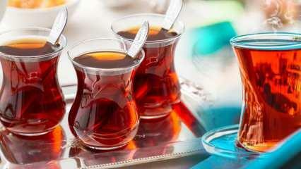 Quels sont les meilleurs modèles de tasses à thé d'Evidea? 2022 Les meilleurs modèles et prix de tasses à thé