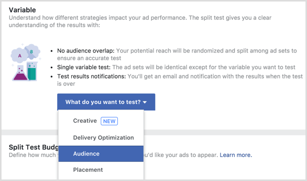 Variable de test de partage des publicités Facebook
