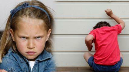 Comment gérer le problème de la colère chez les enfants? Cause de la colère et de l'agressivité chez les enfants 